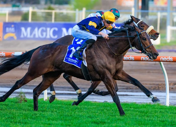 49 SW for Kingman and weekend Group double