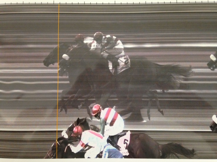 Joyful Hope in tight Oaks finish