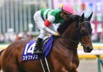 New Zealand could be fertile ground for Deep Impact’s boys