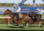 Derby Hero Sensational in Sydney Cup