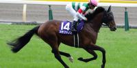 172 SW for Deep Impact