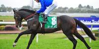 85th Stakes winner for Lonhro