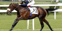 First Jakkalberry Yearlings at NZB Karaka Sales 2017