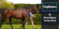 163 and 164 SW for Deep Impact