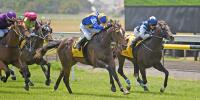 First Stakes winner for Sweynesse