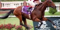 Jakkalberry’s dominant broodmare sire – Barathea