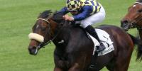 Celticus gains win number eight