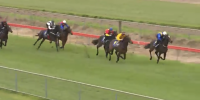 Sweynesse filly smart at trials