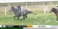 Fourth stakes success Jakkalberry relative