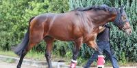 148 for Deep Impact
