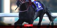 Sixth Japanese Derby winner sired by DEEP IMPACT in nine years.
