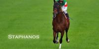 G1 Osaka Hai to Deep Impact filly
