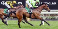 Novara's Express head toward Oaks