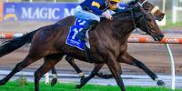 49 SW for Kingman and weekend Group double