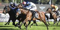 Novara Park bred creates Derby history
