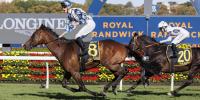 Derby Hero Sensational in Sydney Cup