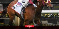Deep Impact dominance on show at Flemington