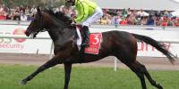Flashback to one of the greatest Melbourne Cup races