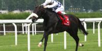 Jakkalberry relatives quinella in Group 2 Premio Carlo Vittadini