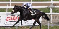 Jakkalberry relative claims Premio Natalie Di Roma