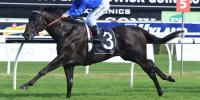 Sweynesse brings Lonhro power