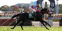 Deep Impact trifecta in Group 3 Nisai Stakes