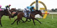 Wanganui Guineas to Sweynesse filly