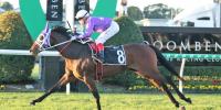 Sweynesse filly comes up Roses