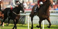 Jakkalberry the champion racehorse with the champion pedigree
