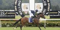Talented two-year-old puts Staphanos on the board