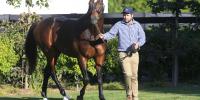 169 SW for Deep Impact