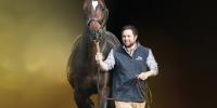 Sweynesse Champion First Season Sire