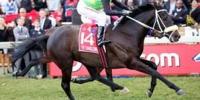 Group One to son of Lonhro