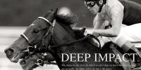 Deep Impact 1,2,3 in NZ$1.1m Group Kokura Daishoten