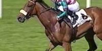 So Many Shots placed in Italian Oaks