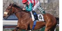 So Many Shots resumes racing