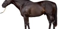 87 for Lonhro