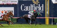 Japanese horse wins Caulfield Cup