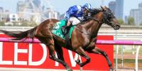 Sweynesse's half-sister smart Group winner