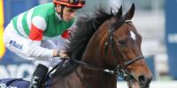 Novara Park announce acquisition of highest stake earner to stud in New Zealand.