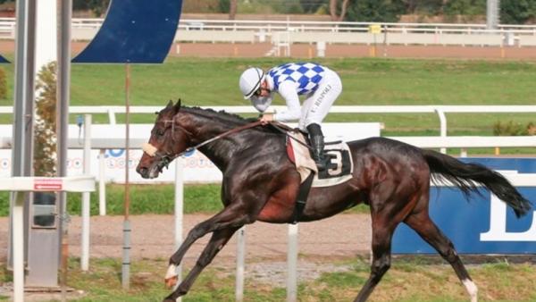 Jakkalberry relatives quinella the Premio Ribot
