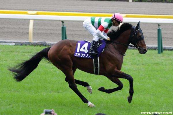 172 SW for Deep Impact