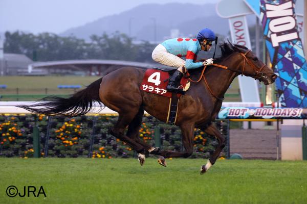 161 SW for Deep Impact