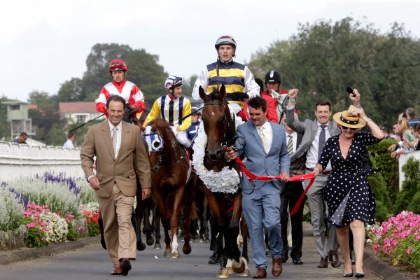 Novara Park bred wins NZ Derby.