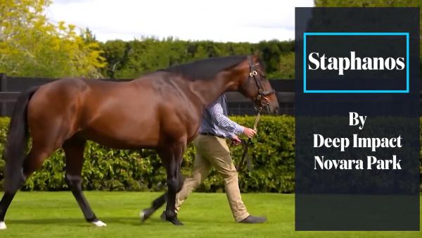 162 SW for Deep Impact