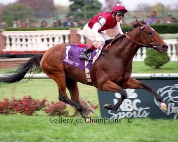 Jakkalberry’s dominant broodmare sire – Barathea