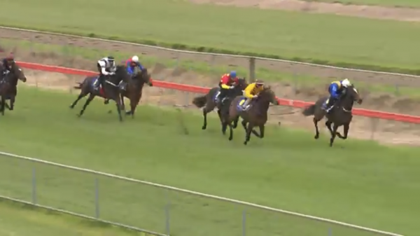 Sweynesse filly smart at trials