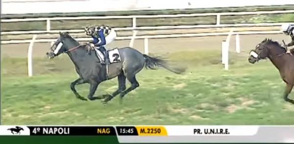 Jakkalberry relative takes out Listed Premio
