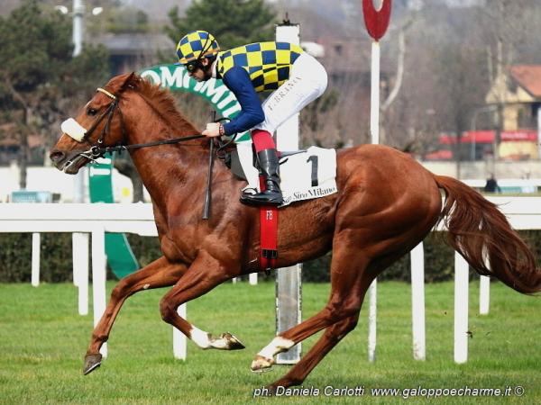 Listed stakes win for Circus Couture