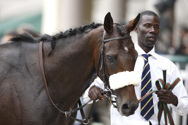 Pedigree Power